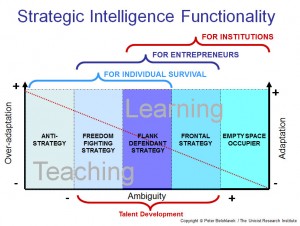 Functionality of the strategic intelligence